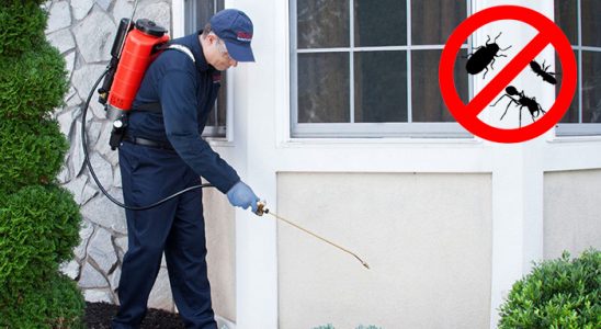 Serinhisar Bit İlaçlama böcek ilaçlama ve haşere kontrolü — ilaclama-tr.com